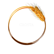 Café Crosta