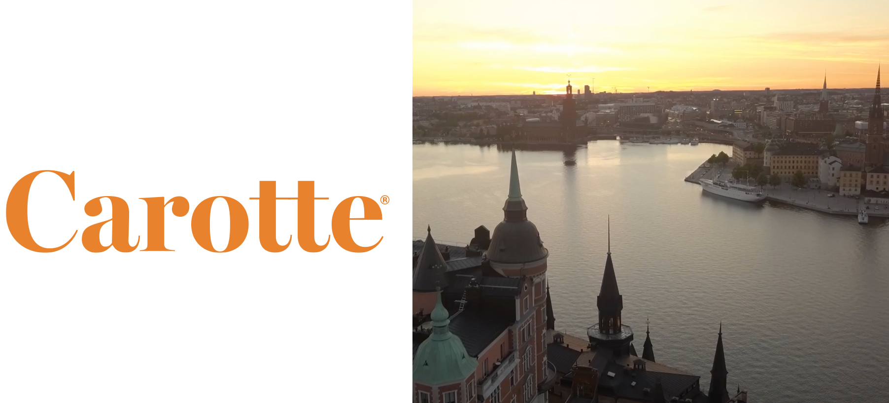 Carotte x Werket