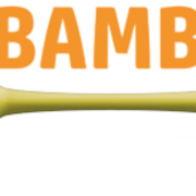 Bamboo Express
