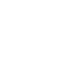 Spicy Wok'n'Roll avatar