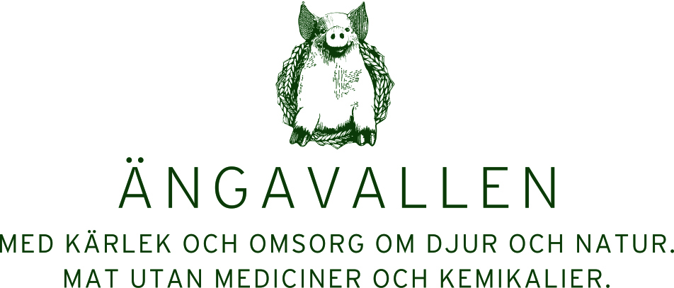 Ängavallen