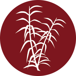 Young Thai Restaurang & Take away AB