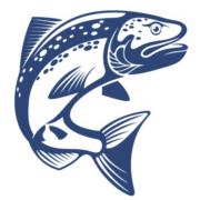 Restaurant Kajsas Fisk